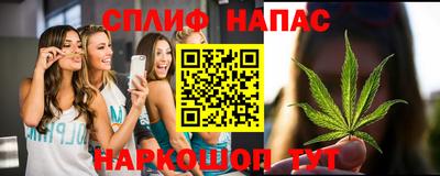 СК Заводоуковск