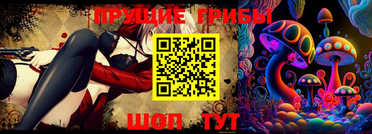 Псилоцибиновые грибы Psilocybe Новоуральск