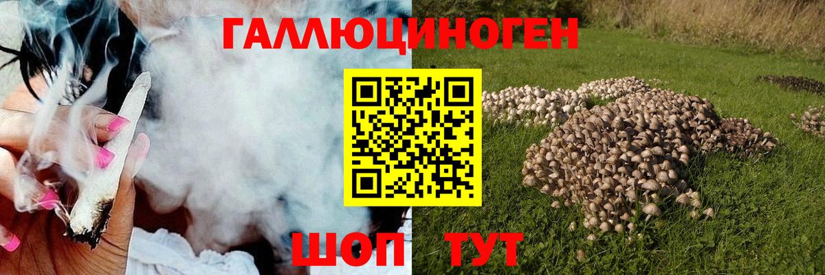 Новоуральск  Псилоцибиновые грибы мухоморы  Вход с VPN 